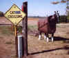 A metal horse pulling a single plow.