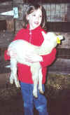 Girl holding a lamb.