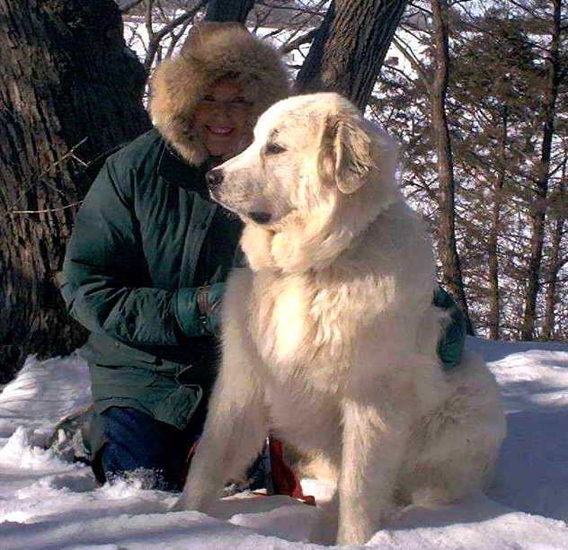 are great pyrenees good guard dogs