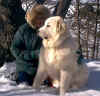 Baron and Sarah doing a little leash training on the hiking trails at nearby Collinwood Park.  Baron is eight months old in this picture and enjoys the outing.