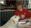 Honey Bear sits and waits for a treat. Good manners make her welcome in the kitchen.