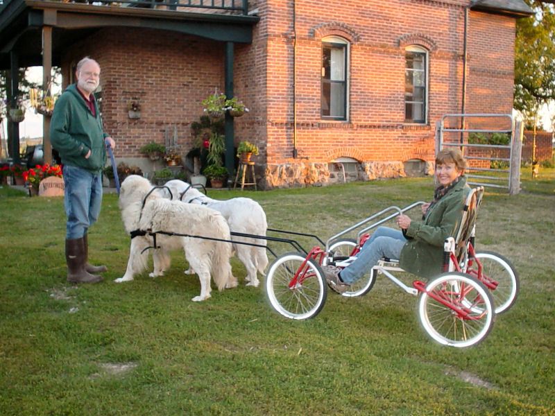 Sacco Dog Cart at Milk&Honey Farm