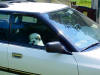 A trip home with a new Great Pyrenees puppy is a big change for everyone.