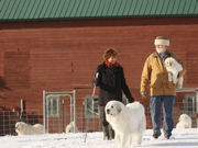 A bright sunny fun day in the snow.