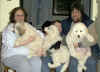 Three male dogs with their owners from Michigan.