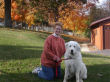 Sasha, a white Great Pyrenees, and her owner.