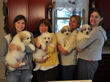 Pyr pups from Jessie and Asher born February 1, 2010.