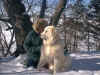 Sarah gives Baron some leash training at Collinwood park.