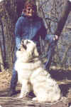 Boomer sits for Sarah while on a walk at Collinwood park.