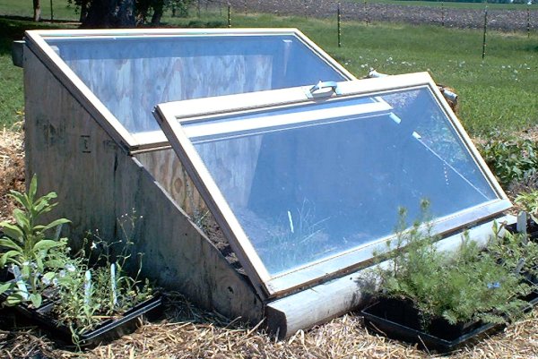 Build Cold Frame To Extend Your Growing Season