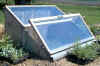 On a sunny day, the cold frame has to be vented or the plants will cook.