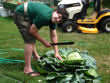 Mark beheads the cabbages by chopping off the roots.