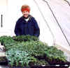 Our first crop of setouts in the green house. What a day for celebration!