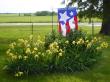 The summer iris bed.