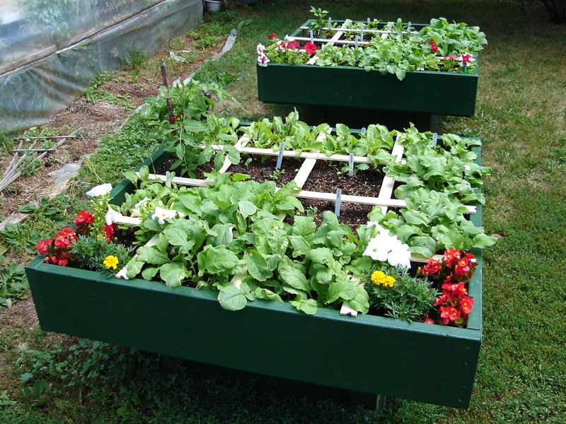 square-foot-gardening-at-milk-and-honey-farm