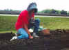Sarah sitting on a Scoot & Do cart while planting seeds in a raised bed.