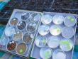 Watch maker's cases with seeds ready for planting.