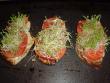 Grilled tomato, sprout and Mozzarella cheese sandwiches, ready to serve.