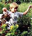 Our grandson hurries though the bean row to show us all the beans he has picked