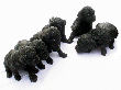 Black miniature poodle pups from Pilgrim and Truffles.