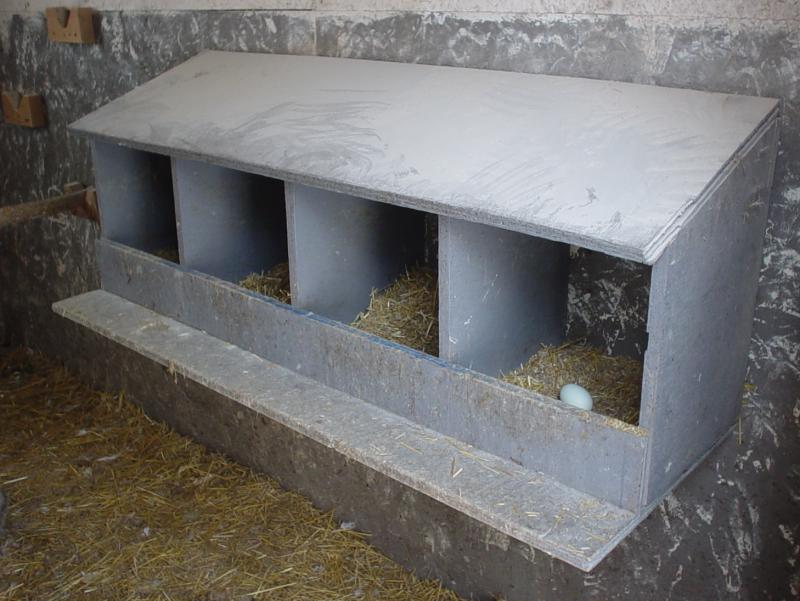 chicken nest boxes