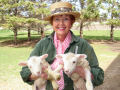 Sarah with 2006 spring lambs.